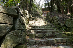 百々橋道｜高解像度画像サイズ：4064 x 2704 pixels｜写真番号：100-3662S53B｜撮影：Canon EOS-1DS