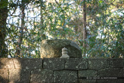 二の丸・織田信長廟所｜高解像度画像サイズ：5616 x 3744 pixels｜写真番号：1P3J9770｜撮影：Canon EOS-1Ds Mark III