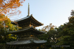 總見寺三重の塔｜高解像度画像サイズ：5406 x 3604 pixels｜写真番号：1P3J9806｜撮影：Canon EOS-1Ds Mark III