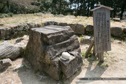 仏足石｜高解像度画像サイズ：6480 x 4320 pixels｜写真番号：5DSA4433｜撮影：Canon EOS 5DS