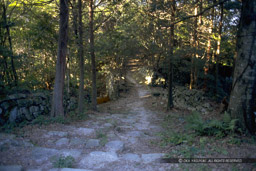 搦手道と八角平の分岐点｜高解像度画像サイズ：3072 x 2048 pixels｜写真番号：IMG0061｜撮影：