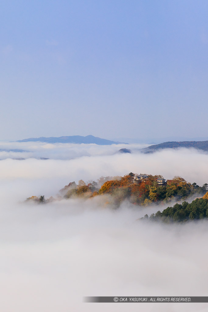 備中松山城の雲海・縦アングル