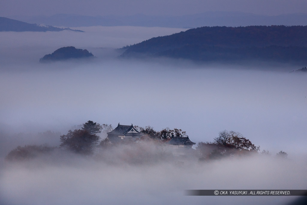 雲海から顔を出す備中松山城・日の出前