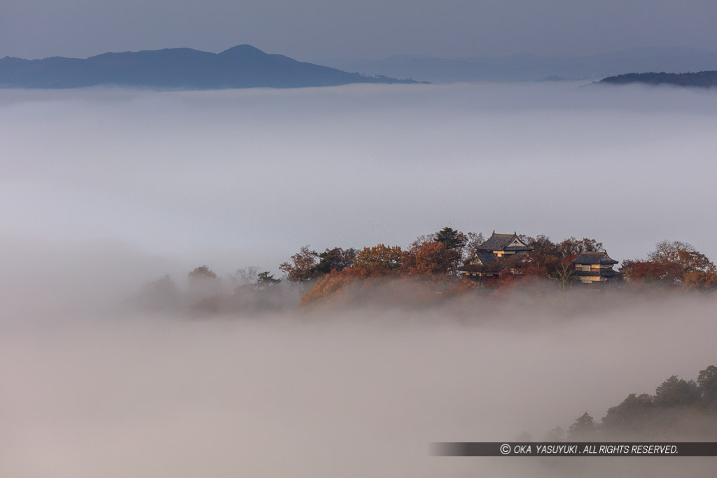 備中松山城の雲海