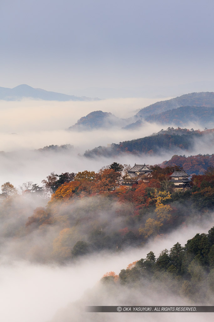 備中松山城の雲海・縦アングル