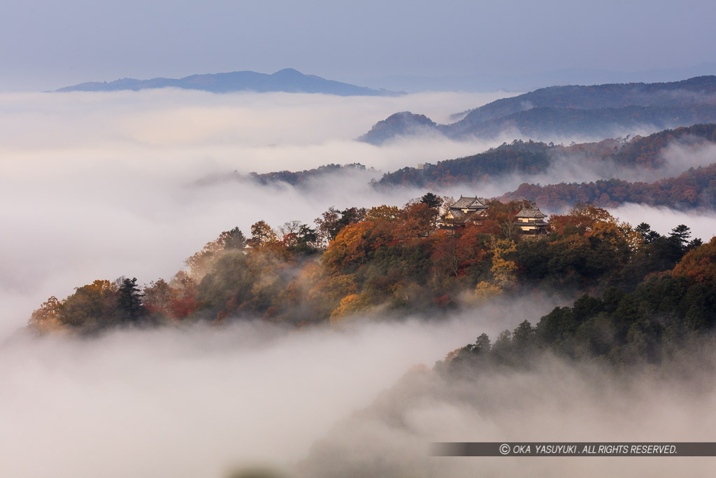 備中松山城の雲海・紅葉