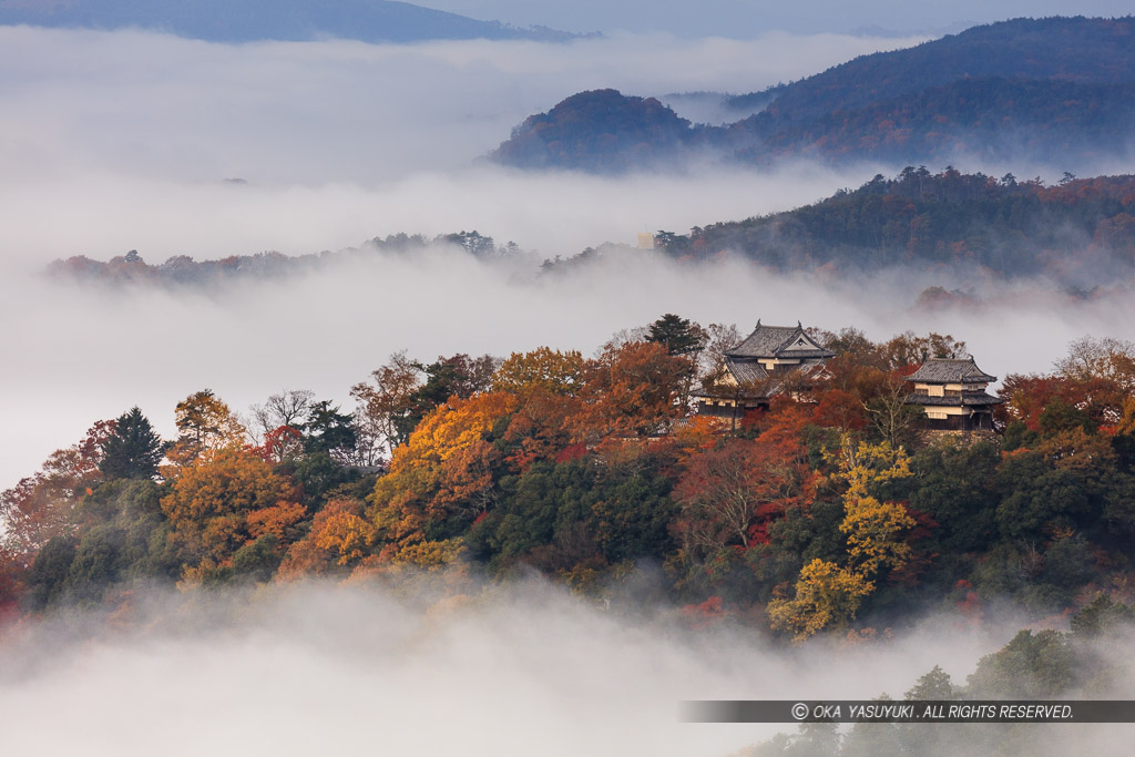 備中松山城の雲海・紅葉