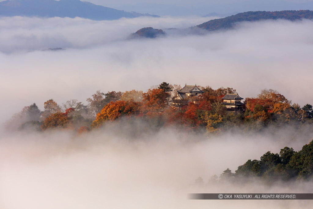 備中松山城の雲海・紅葉