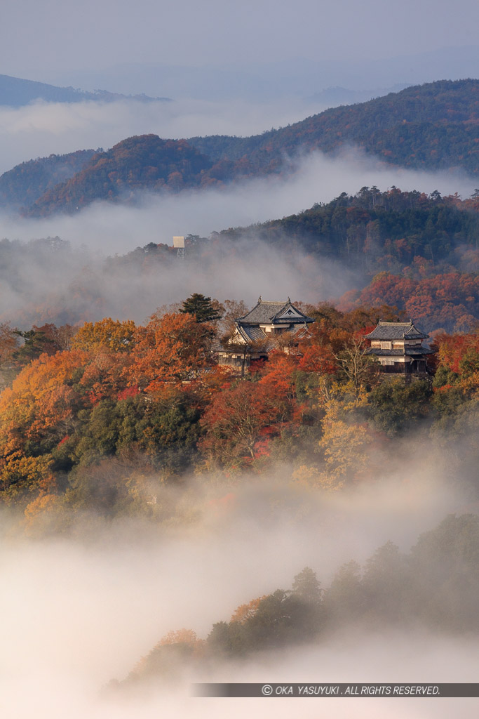 備中松山城の雲海・縦アングル