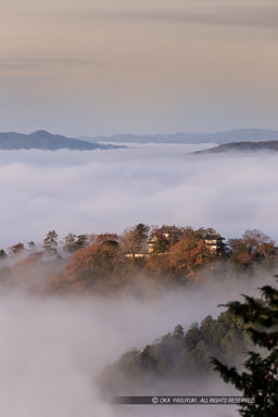 雲海｜高解像度画像サイズ：3335 x 5002 pixels｜写真番号：1DXL9353｜撮影：Canon EOS-1D X