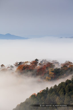 備中松山城の雲海・縦アングル｜高解像度画像サイズ：5688 x 8532 pixels｜写真番号：5DSA3418｜撮影：Canon EOS 5DS