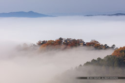 備中松山城の雲海・紅葉｜高解像度画像サイズ：8518 x 5679 pixels｜写真番号：5DSA3430｜撮影：Canon EOS 5DS