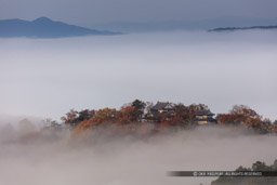 備中松山城の雲海｜高解像度画像サイズ：8518 x 5679 pixels｜写真番号：5DSA3431｜撮影：Canon EOS 5DS