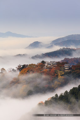 備中松山城の雲海・縦アングル｜高解像度画像サイズ：5659 x 8489 pixels｜写真番号：5DSA3557｜撮影：Canon EOS 5DS