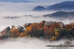 備中松山城の雲海・紅葉｜高解像度画像サイズ：8489 x 5659 pixels｜写真番号：5DSA3568｜撮影：Canon EOS 5DS