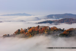 備中松山城の雲海・紅葉｜高解像度画像サイズ：8446 x 5631 pixels｜写真番号：5DSA3597｜撮影：Canon EOS 5DS