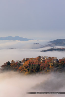 備中松山城の雲海・縦アングル｜高解像度画像サイズ：5659 x 8489 pixels｜写真番号：5DSA3603｜撮影：Canon EOS 5DS