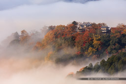 雲海｜高解像度画像サイズ：8446 x 5631 pixels｜写真番号：5DSA3621｜撮影：Canon EOS 5DS