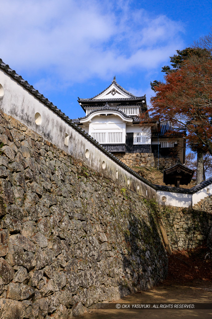 紅葉の備中松山城・二の丸から