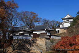 紅葉の備中松山城・二の丸から｜高解像度画像サイズ：4976 x 3317 pixels｜写真番号：1DXL9777｜撮影：Canon EOS-1D X