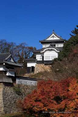 紅葉の備中松山城・二の丸から｜高解像度画像サイズ：3323 x 4985 pixels｜写真番号：1DXL9780｜撮影：Canon EOS-1D X