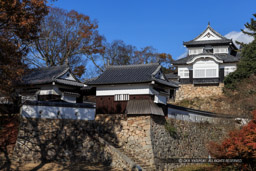 二の丸から望む天守・紅葉｜高解像度画像サイズ：5114 x 3409 pixels｜写真番号：1DXL9813｜撮影：Canon EOS-1D X