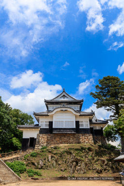 夏の備中松山城・本丸から｜高解像度画像サイズ：5575 x 8363 pixels｜写真番号：5DSA0087｜撮影：Canon EOS 5DS