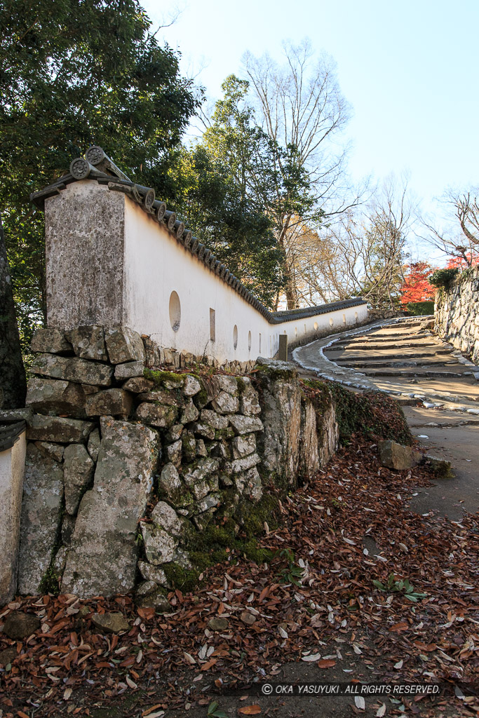 三の平櫓東土塀