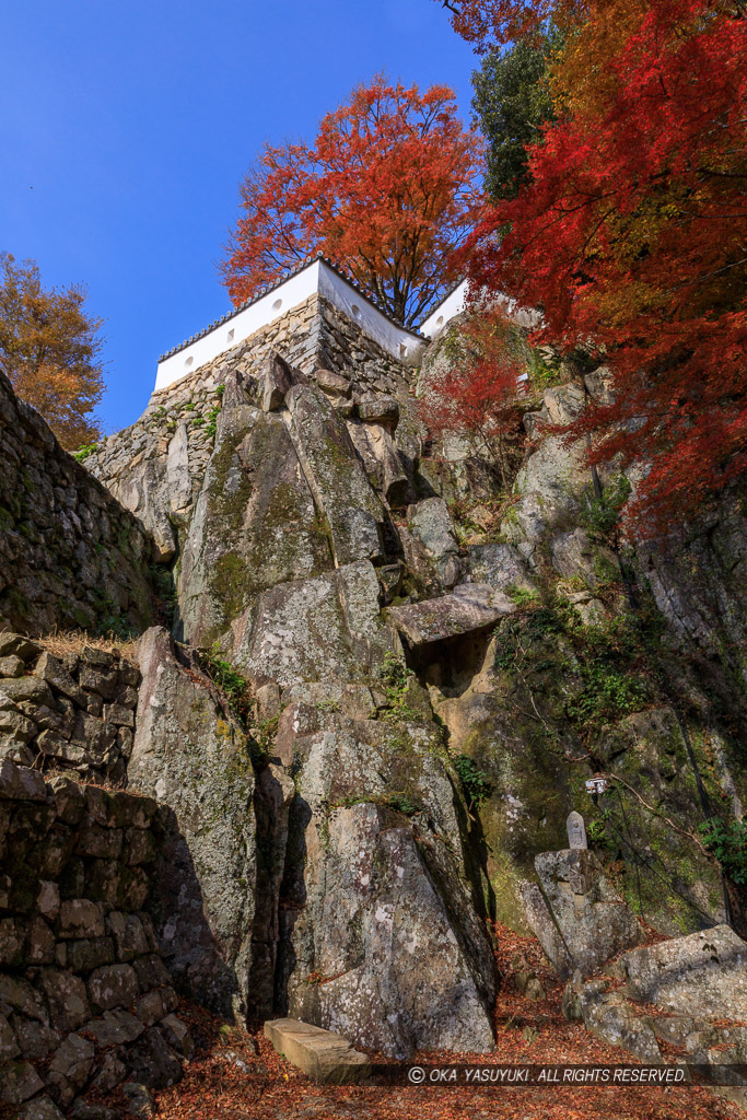 自然の岩盤を利用した石垣（紅葉）