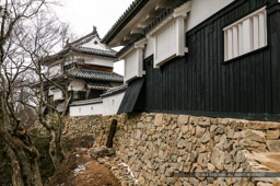 渡櫓から二重櫓を望む|高解像度画像サイズ:4064 x 2704 pixels|写真番号:100-1931S53B|撮影:Canon EOS-1DS