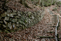 大松山城への登城路に残る石垣|高解像度画像サイズ:4064 x 2704 pixels|写真番号:100-1985S53B|撮影:Canon EOS-1DS