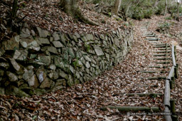 大松山城への登城路に残る石垣｜高解像度画像サイズ：4064 x 2704 pixels｜写真番号：100-1985S53B｜撮影：Canon EOS-1DS