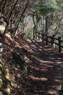 登山道｜高解像度画像サイズ：3181 x 4771 pixels｜写真番号：1DXL9636｜撮影：Canon EOS-1D X