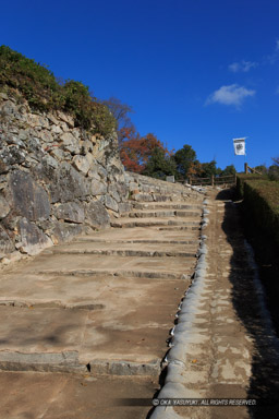 二の丸への登城路｜高解像度画像サイズ：3456 x 5184 pixels｜写真番号：1DXL9740｜撮影：Canon EOS-1D X