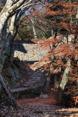 搦手門跡から水手門脇曲輪｜高解像度画像サイズ：3456 x 5184 pixels｜写真番号：1DXL9831｜撮影：Canon EOS-1D X