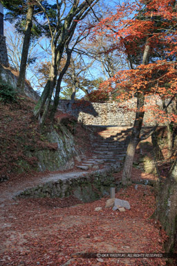 搦手門跡から水手門脇曲輪｜高解像度画像サイズ：3414 x 5122 pixels｜写真番号：1DXL9834｜撮影：Canon EOS-1D X