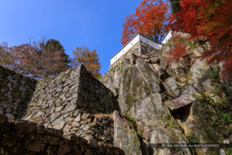 自然の岩盤を利用した石垣（紅葉）｜高解像度画像サイズ：6720 x 4480 pixels｜写真番号：5D4A3475｜撮影：Canon EOS 5D Mark IV