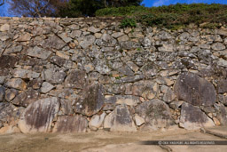 二の櫓門付近の石垣|高解像度画像サイズ:6720 x 4480 pixels|写真番号:5D4A3521|撮影:Canon EOS 5D Mark IV