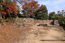九の平櫓跡・後曲輪|高解像度画像サイズ:6529 x 4352 pixels|写真番号:5D4A3560|撮影:Canon EOS 5D Mark IV