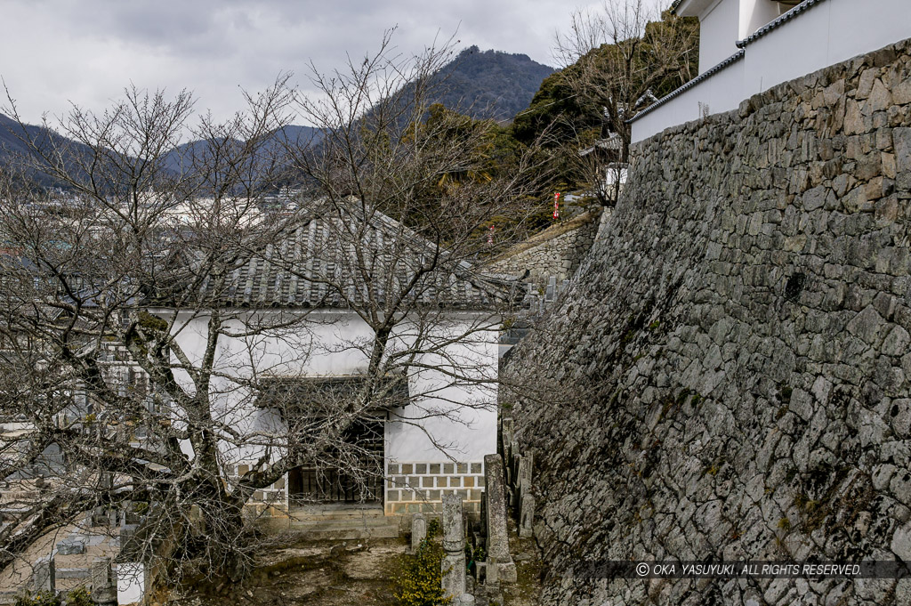 松蓮寺石垣・臥牛山を望む