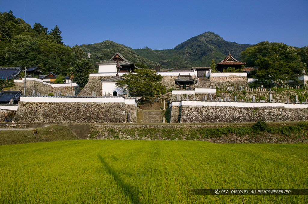 松蓮寺