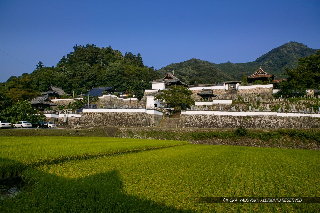 薬師院と松蓮寺