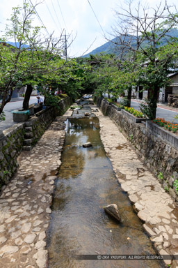 紺屋川｜高解像度画像サイズ：5792 x 8688 pixels｜写真番号：5DSA0207｜撮影：Canon EOS 5DS