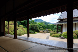 庭園・頼久寺｜高解像度画像サイズ：8688 x 5792 pixels｜写真番号：5DSA9280｜撮影：Canon EOS 5DS