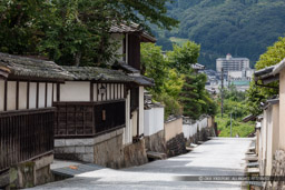 武家屋敷・旧埴原家｜高解像度画像サイズ：8688 x 5792 pixels｜写真番号：5DSA9349｜撮影：Canon EOS 5DS