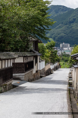 武家屋敷・旧埴原家｜高解像度画像サイズ：5622 x 8433 pixels｜写真番号：5DSA9350｜撮影：Canon EOS 5DS