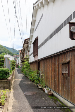 蔦屋小路｜高解像度画像サイズ：5792 x 8688 pixels｜写真番号：5DSA9455｜撮影：Canon EOS 5DS