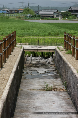 蛙ケ鼻築堤跡｜高解像度画像サイズ：3726 x 5590 pixels｜写真番号：1P3J6361｜撮影：Canon EOS-1Ds Mark III