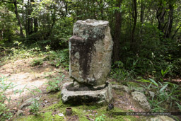 清水宗治の首塚｜高解像度画像サイズ：5616 x 3744 pixels｜写真番号：1P3J6398｜撮影：Canon EOS-1Ds Mark III