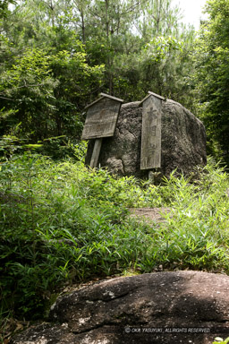 太閤岩｜高解像度画像サイズ：3744 x 5616 pixels｜写真番号：1P3J6415｜撮影：Canon EOS-1Ds Mark III